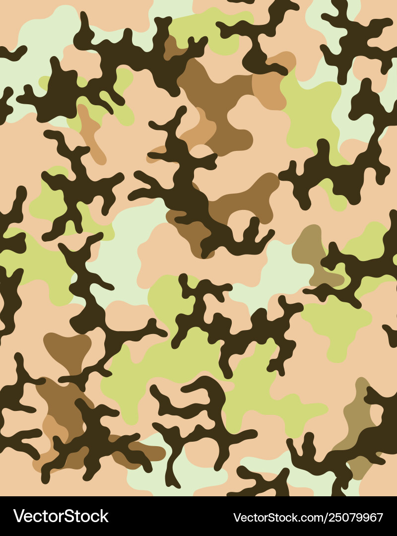 Army Camouflage Pattern Vector Image
