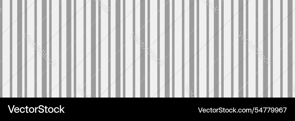 Terformance pattern vertical texture graphical vector image