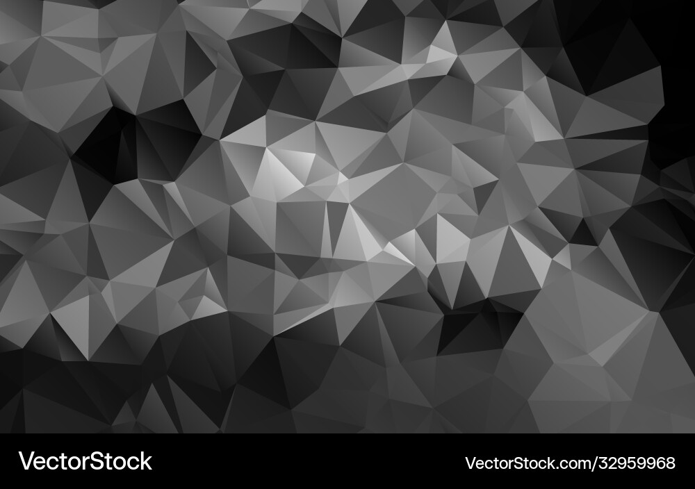 Geometric Black and White Polygon Background vector image