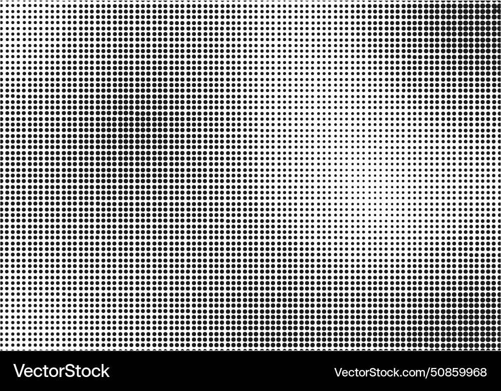 Noise grain background dots gradient or dotwork Vector Image