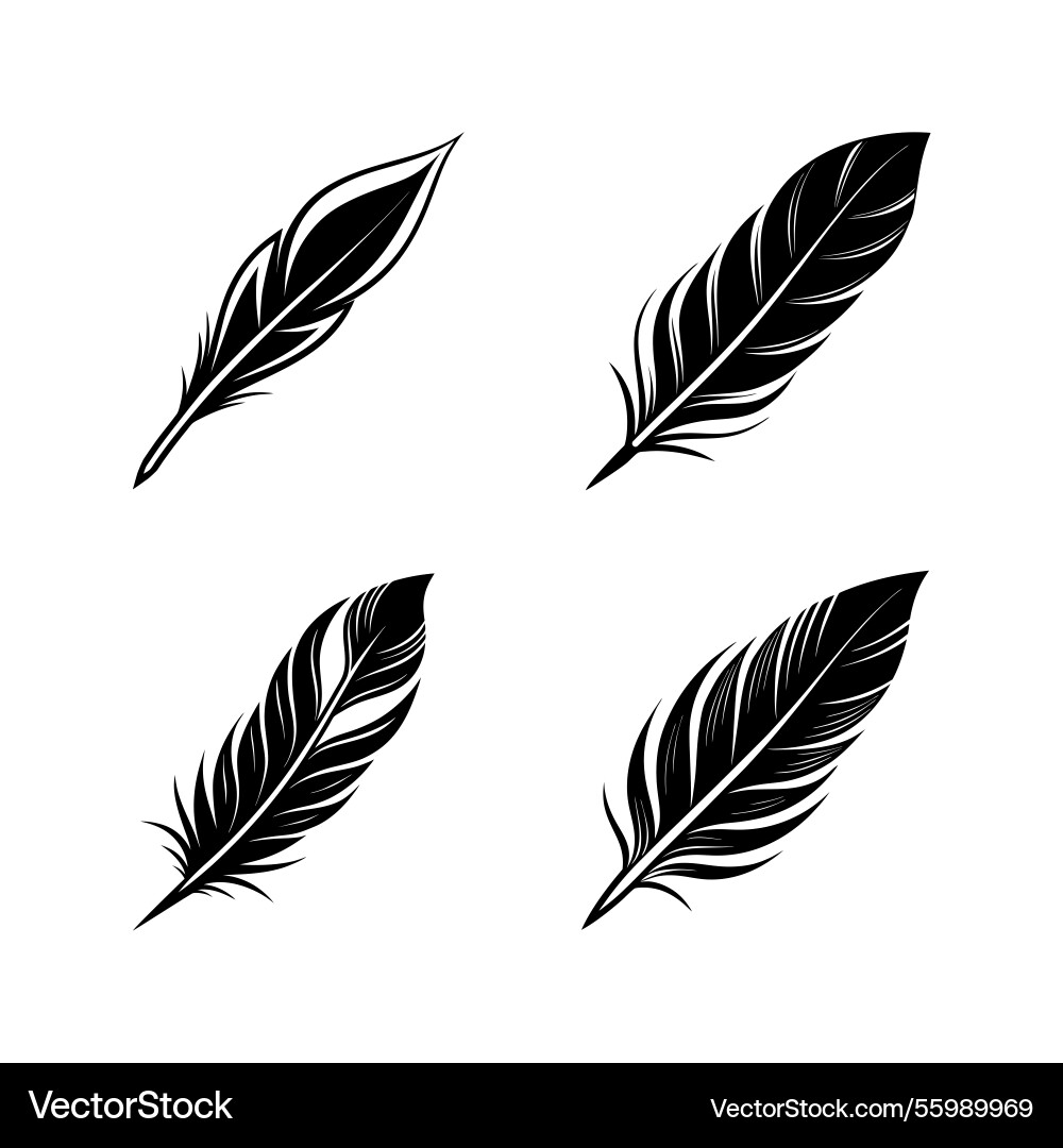 Sleek feather silhouette with a sharp 1 Sleek feather silhouette with a sharp 1 Vector Image