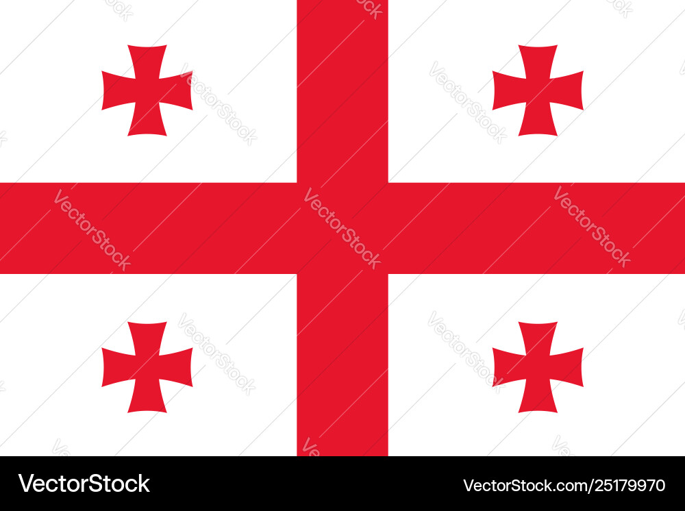 Flag rectangular shape Flag rectangular shape vector image