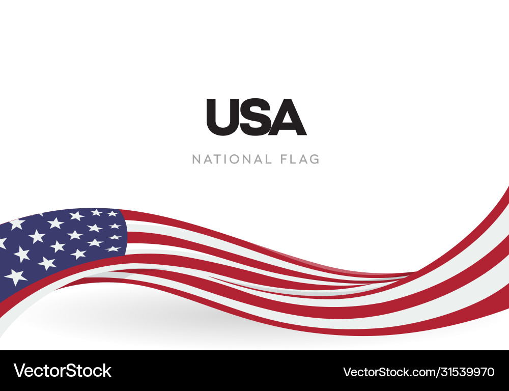 USA Flag Banner - Patriotic Stripes vector image