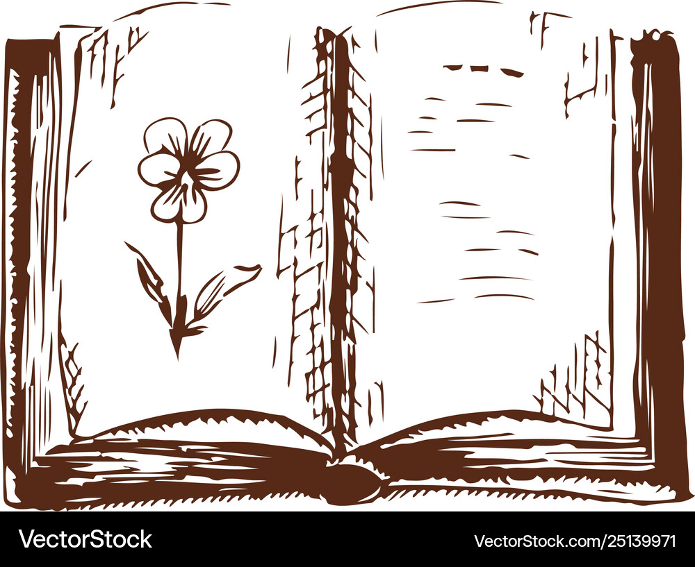 Open book with viola ink sketch – Royalty-Free Vector | VectorStock, image size:1000x817