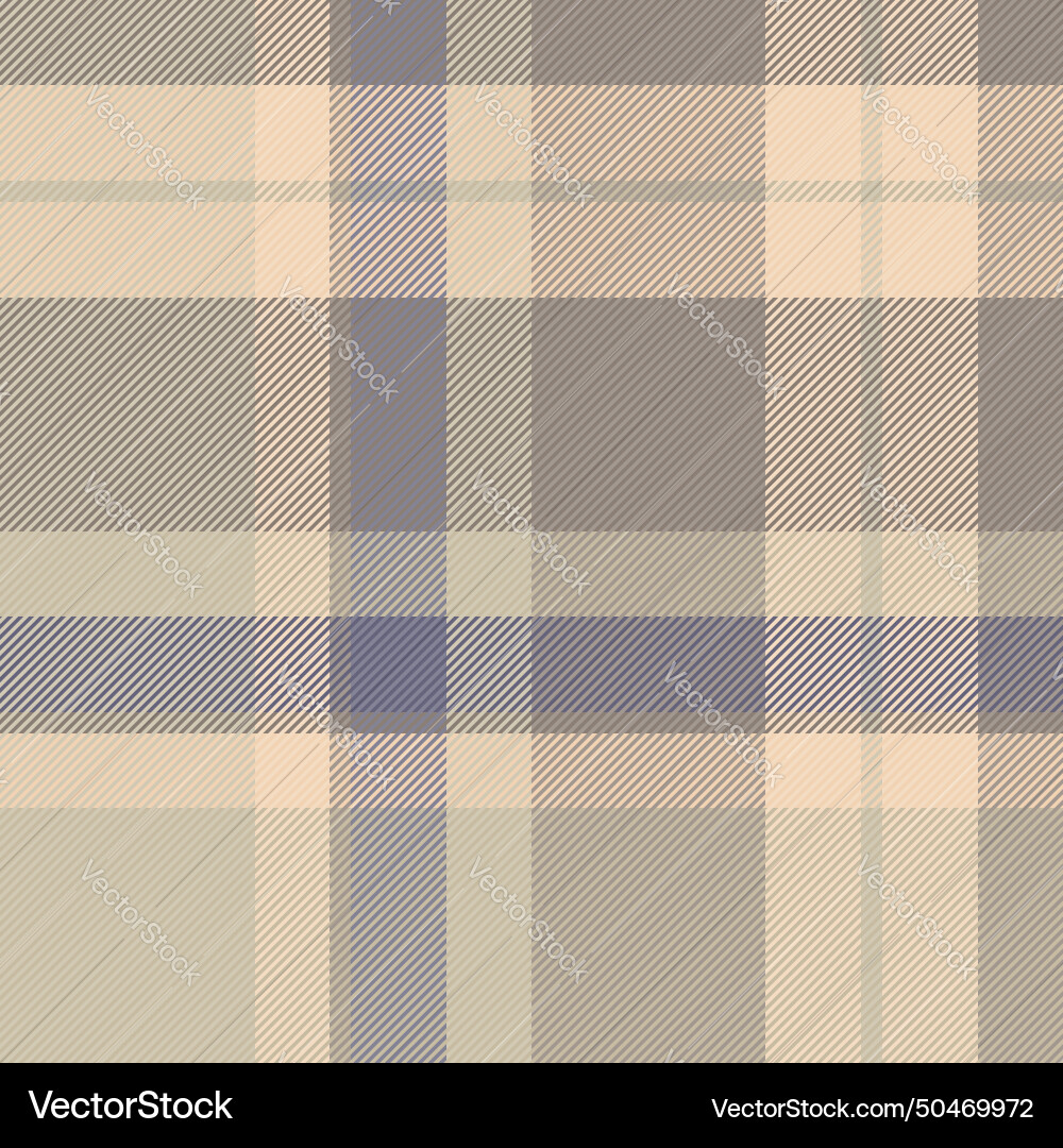 Large tartan texture pattern intricate fabric Vector Image