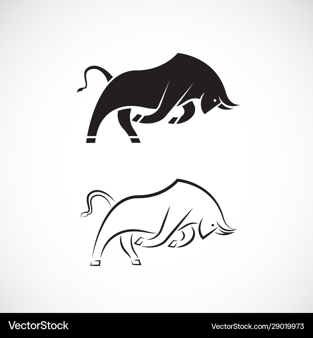 Bull design on white background wild animals easy vector image