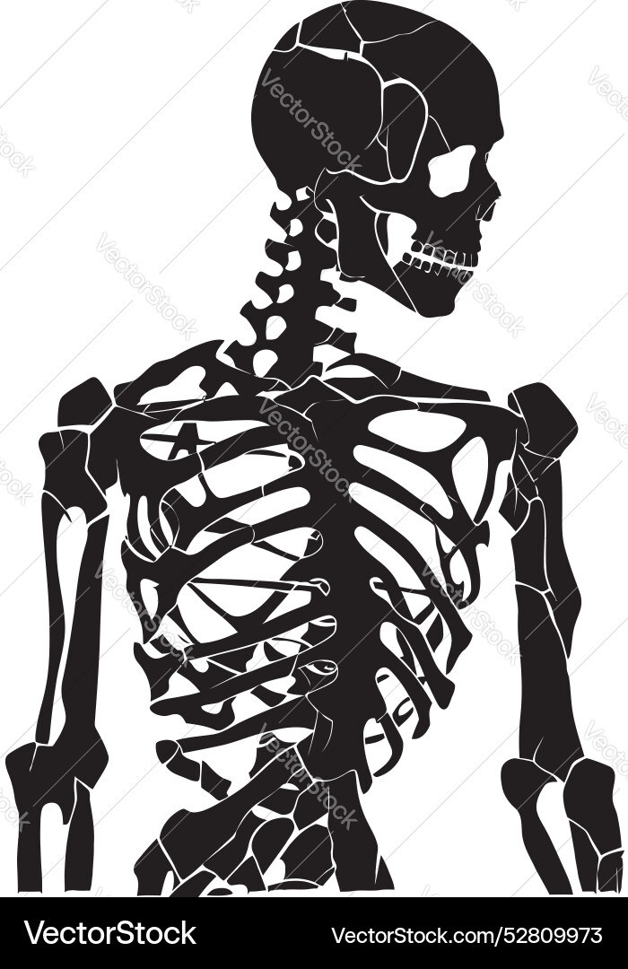 Fragmented form skeleton icon emblem splintered Fragmented form skeleton icon emblem splintered Vector Image