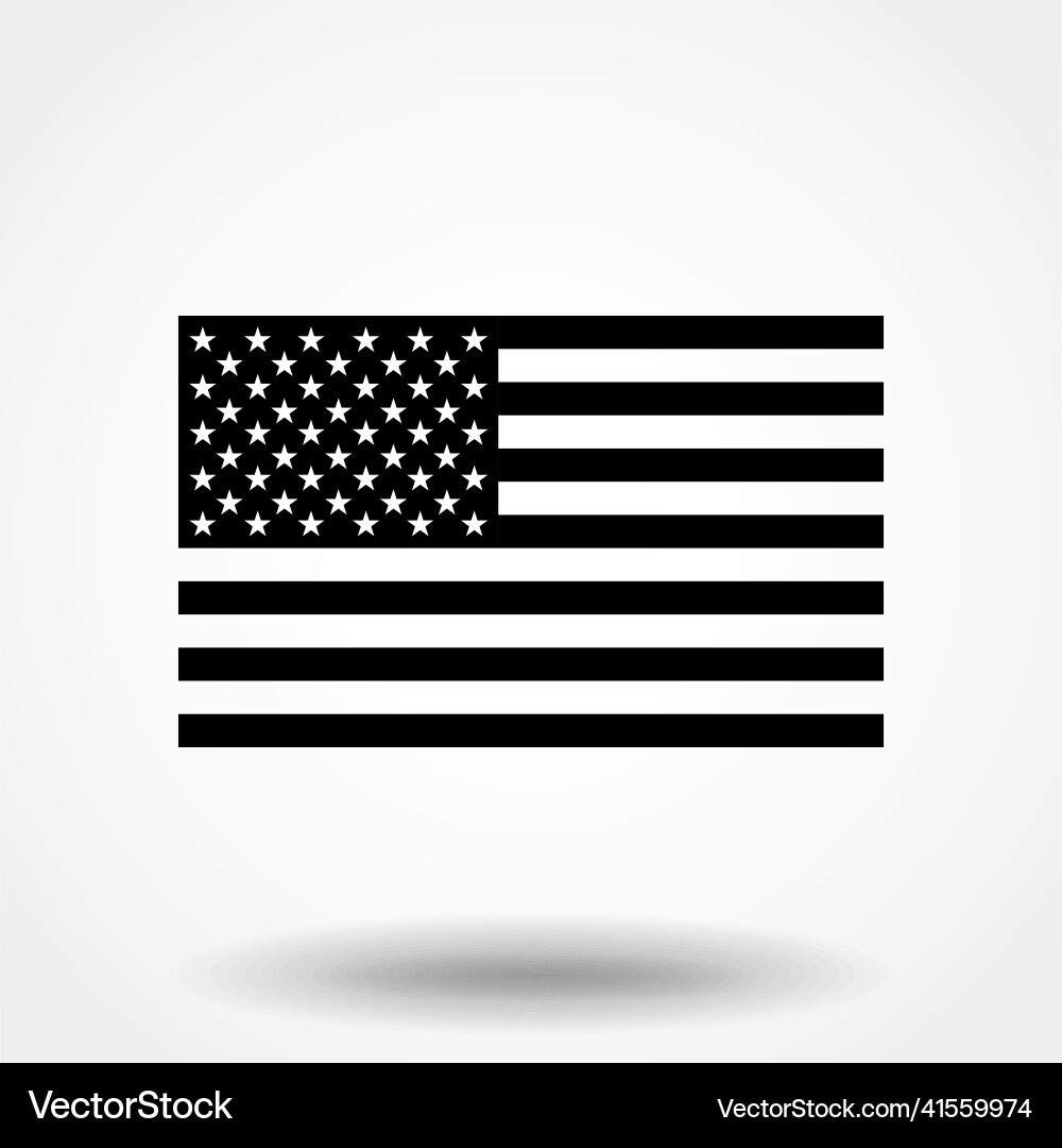 Black and white american flag Black and white american flag vector image