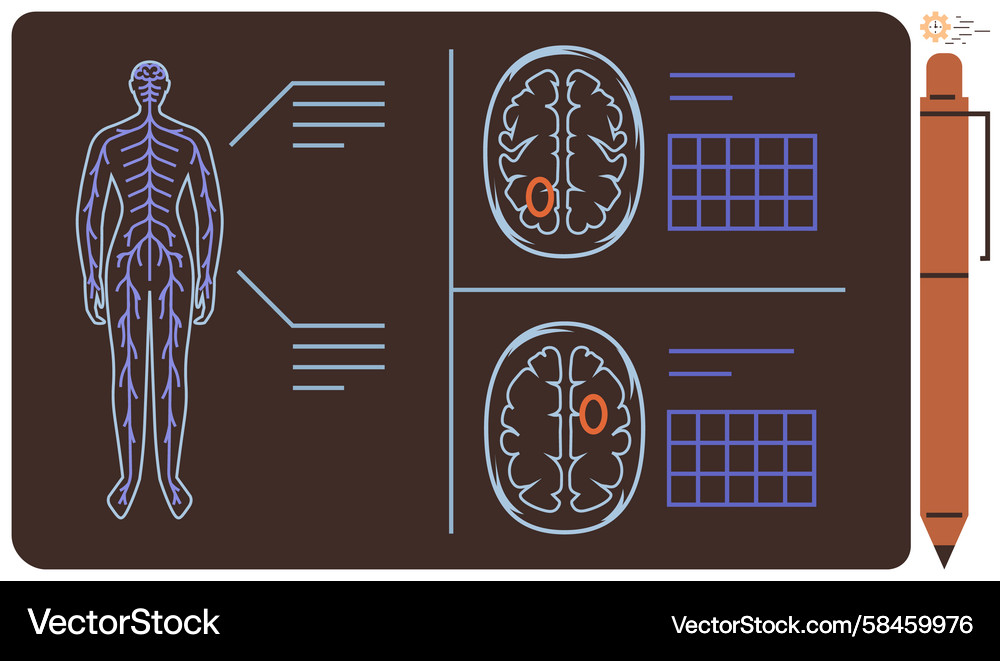 Neural System Diagram with Brain Scans Vector Image