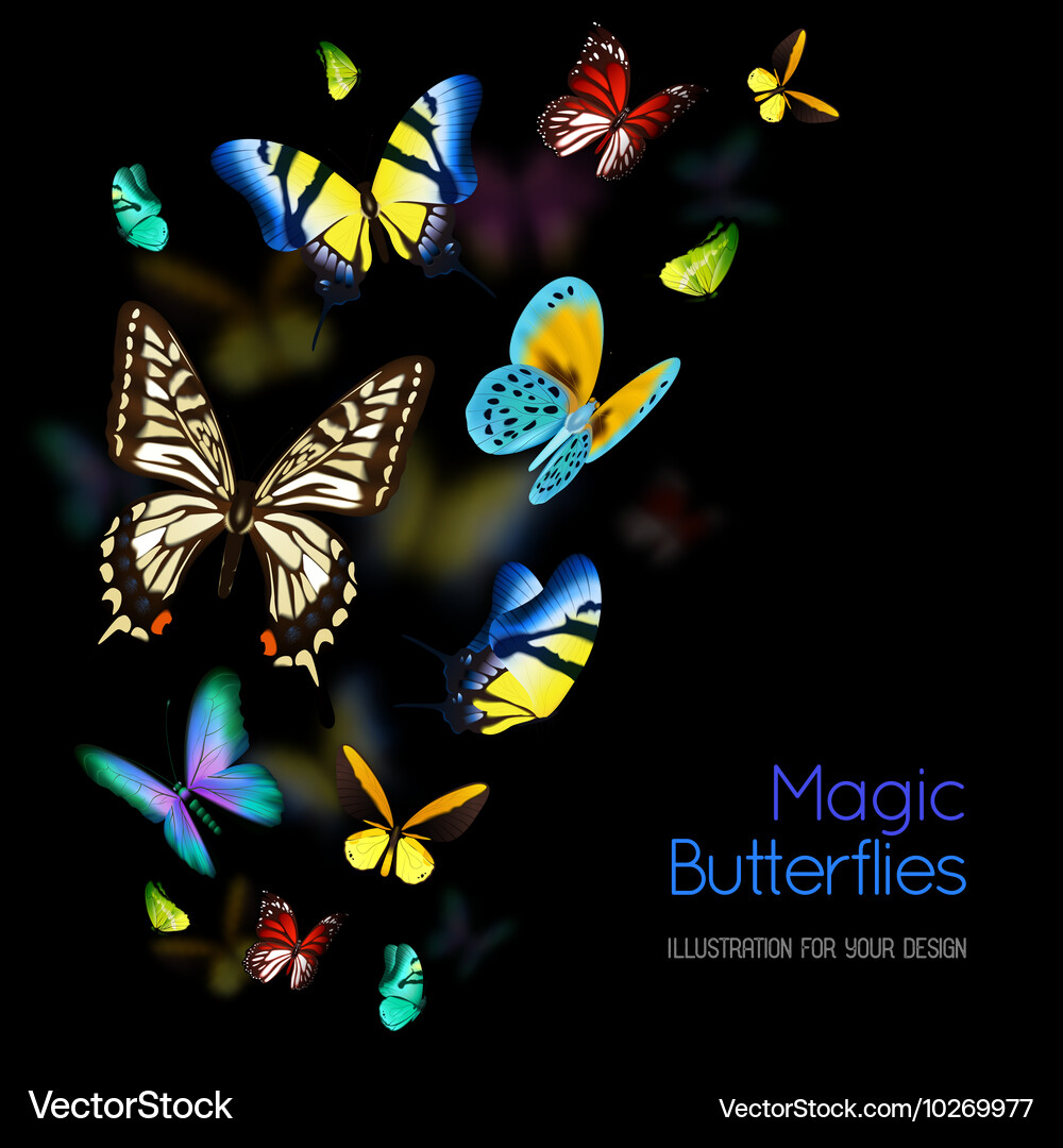 Butterfly background Royalty Free Vector Image