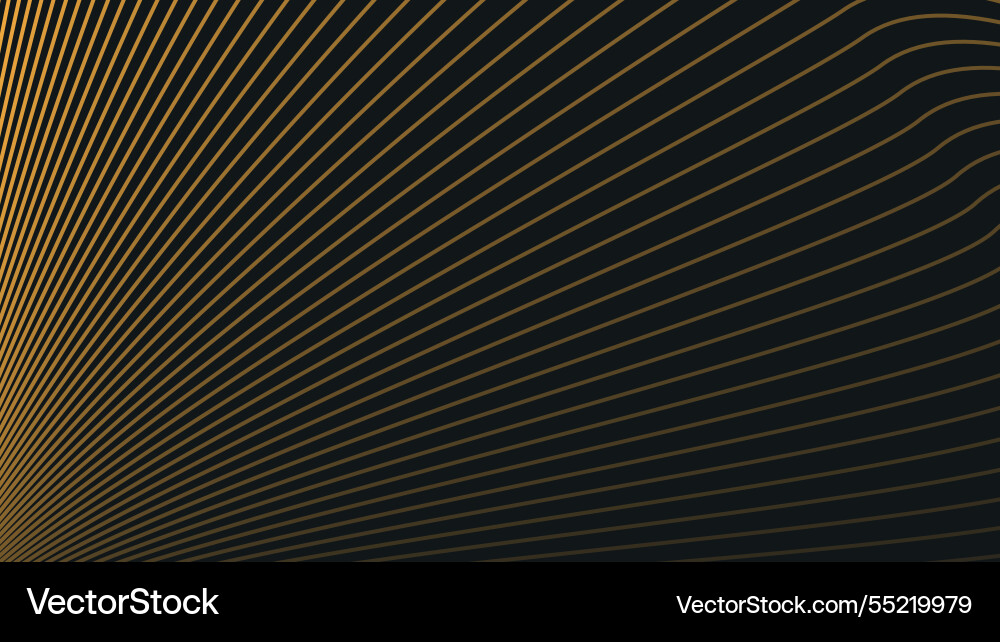 Black abstract background with gold curve lines Black abstract background with gold curve lines Vector Image