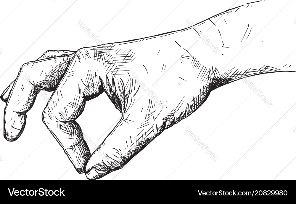 Artistic or drawing of hand holding something Artistic or drawing of hand holding something vector image
