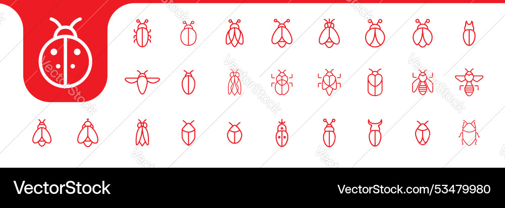 Minimal insect wings line set icon design vector image