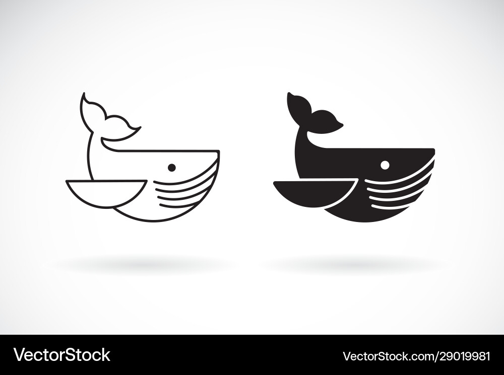 Whale design on white background undersea animals Whale design on white background undersea animals vector image
