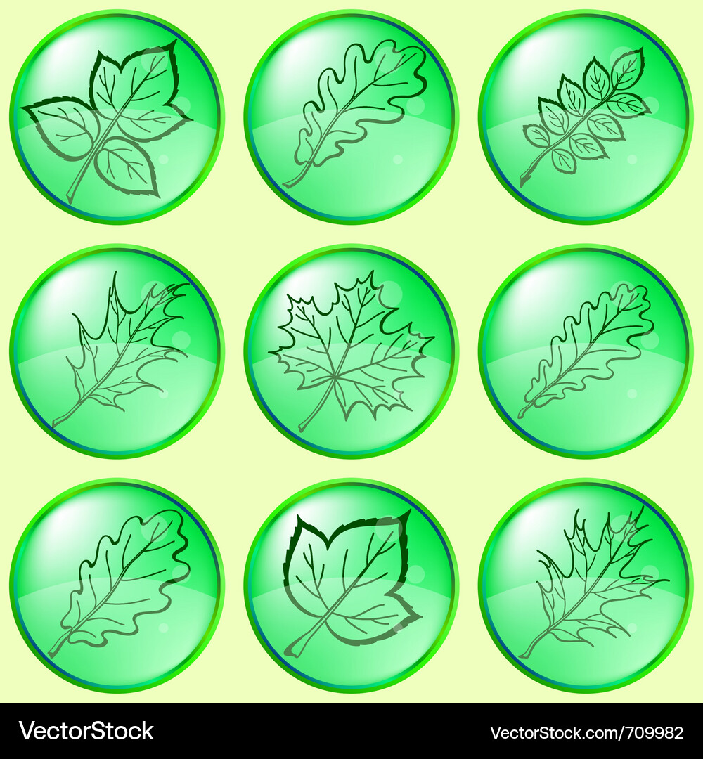 Leaves buttons set Vector Image