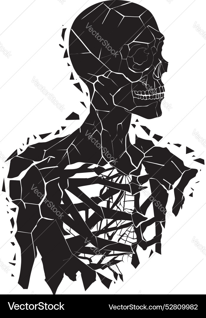 Splintered shape fractured skeleton icon emblem Vector Image