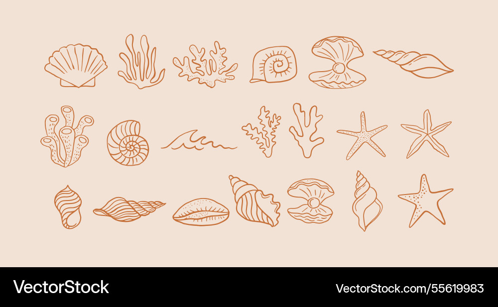 Boho Seashell & Ocean Pattern vector image