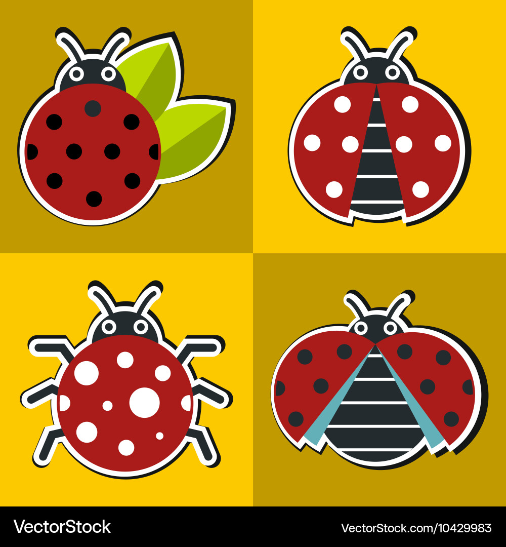 Ladybug icons with shadow in flat style vector image