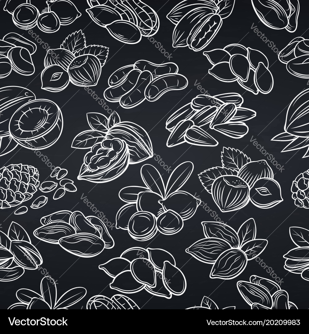 Seamless pattern with nuts and seeds Vector Image