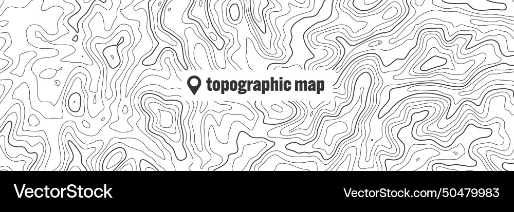 Topographic map with contour lines geographic Topographic map with contour lines geographic vector image