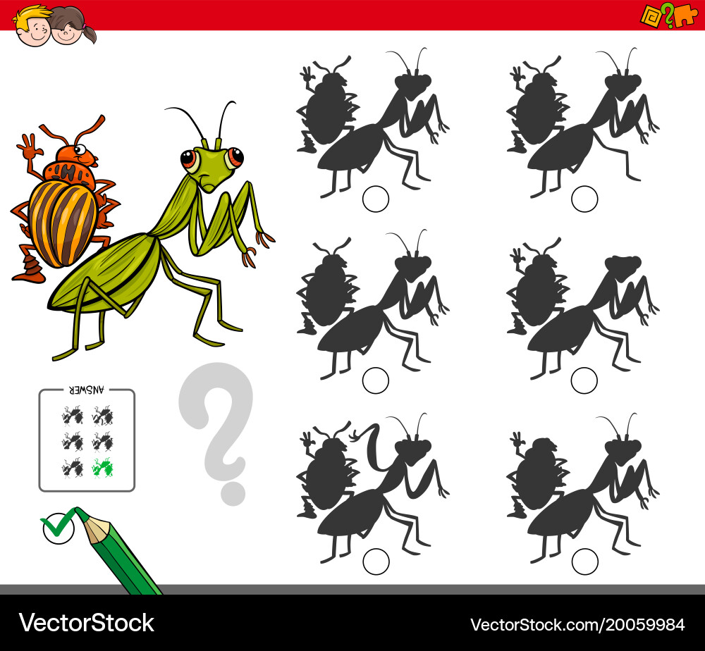 Shadow activity game with bug characters vector image
