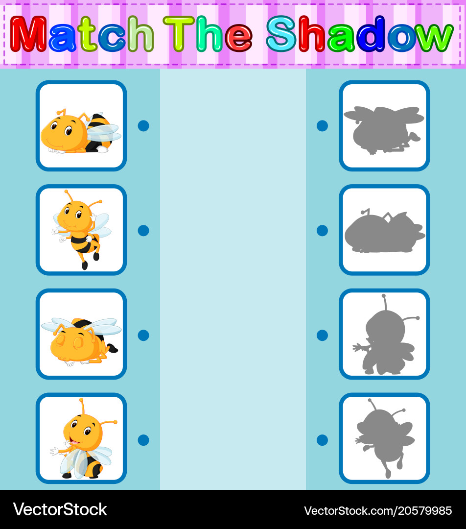 Bee Shadow Matching Game vector image