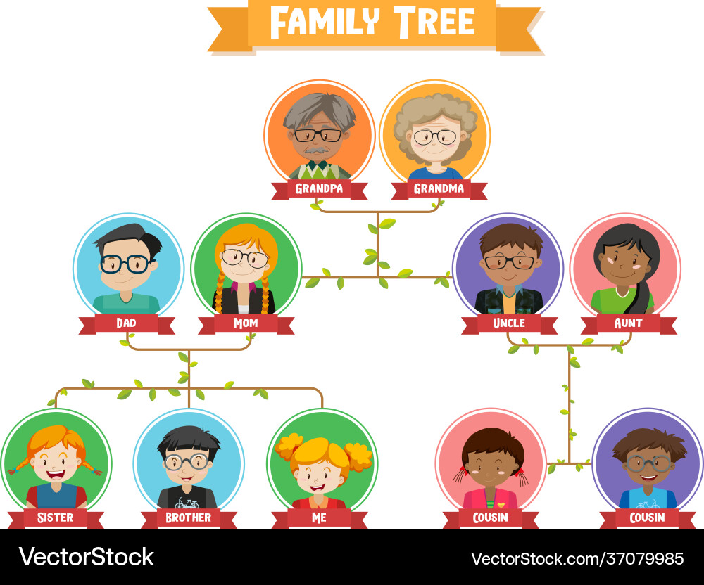 Diagram showing three generation family tree vector image