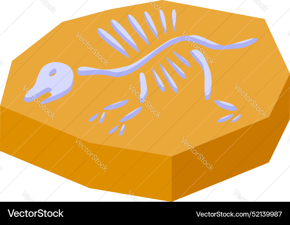 Dinosaur skeleton imprint fossil showing Vector Image