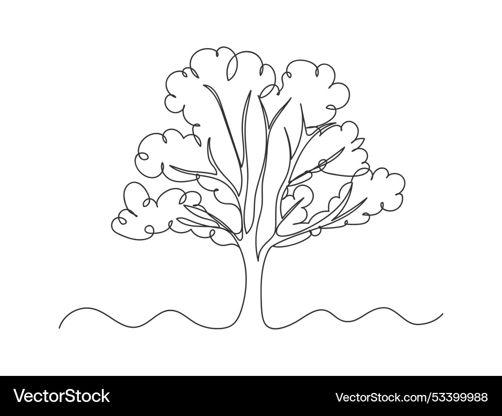 Continuous one line drawing of tree on white Continuous one line drawing of tree on white vector image