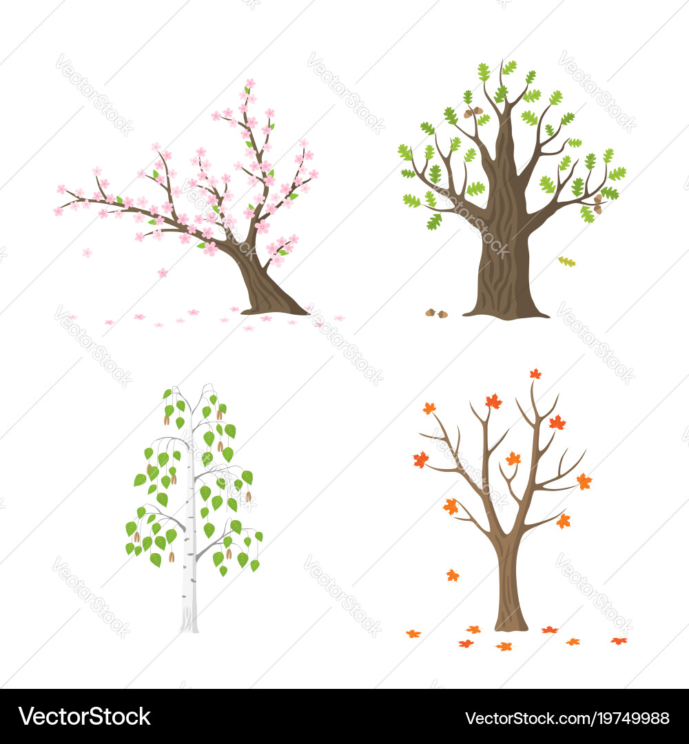 Flat tree set isolated Royalty Free Vector Image