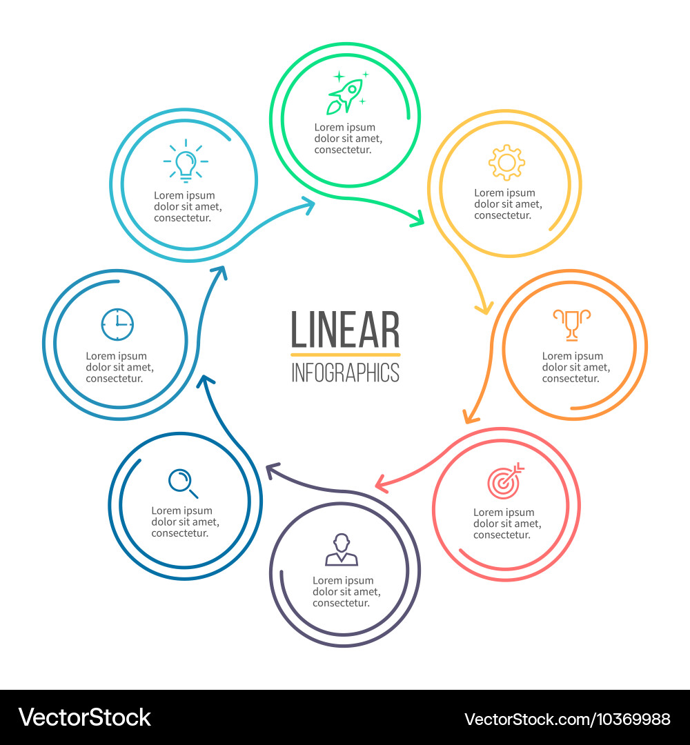 Linear infographic minimalistic chart diagram vector image