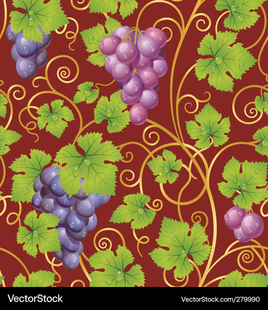 Elegant Grape Pattern vector image