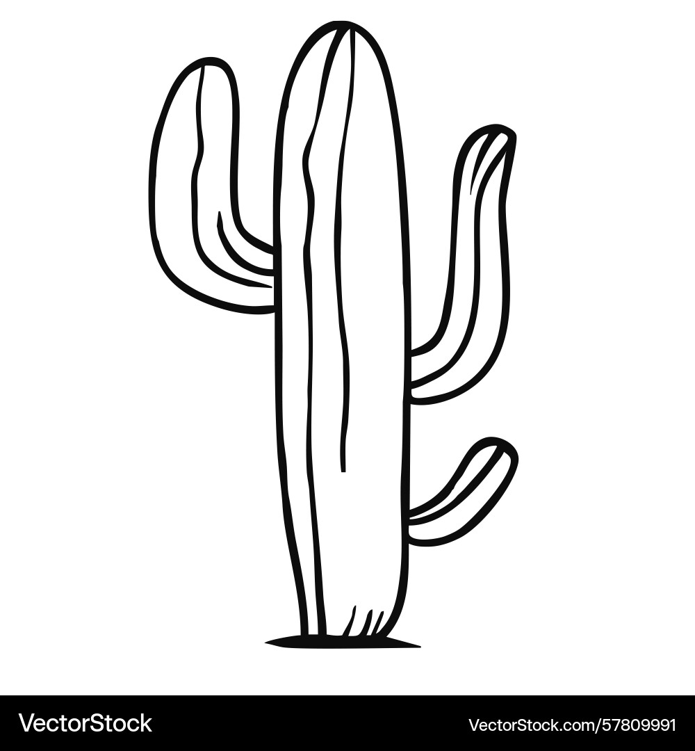 A simple line drawing of cactus with multiple A simple line drawing of cactus with multiple Vector Image