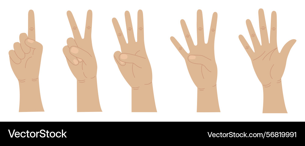 Hands count from one to five gestures Hands count from one to five gestures Vector Image