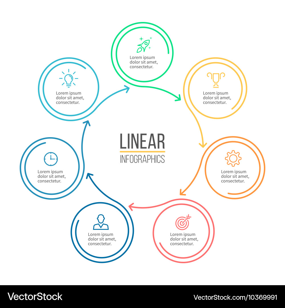 Linear infographic minimalistic chart diagram vector image