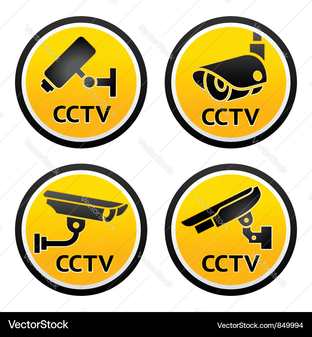 CCTV Security Signs Collection Vector Image