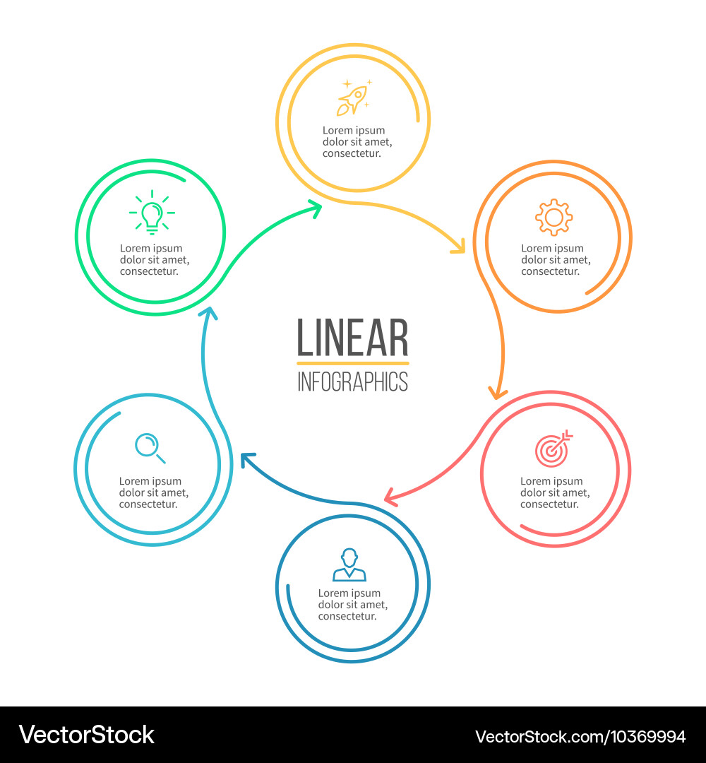 Linear infographic minimalistic chart diagram vector image