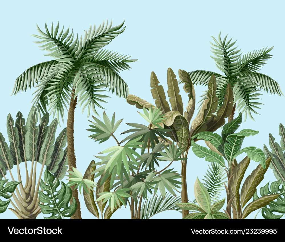 Tropical Palm Leaf Border Vector Image