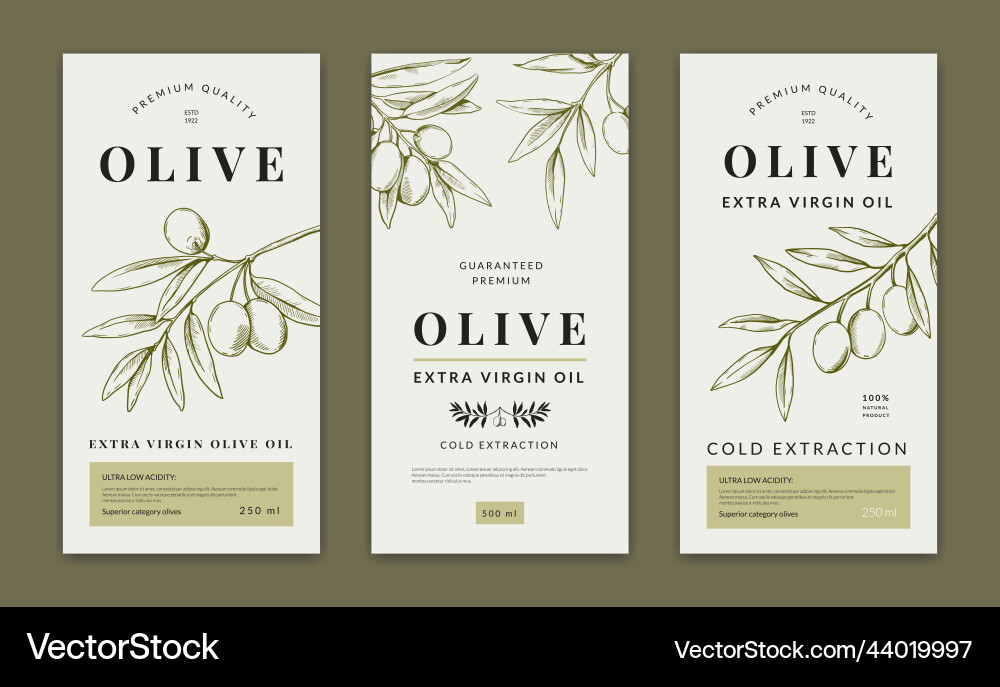 Olive oil label greek tree logo on emblem Olive oil label greek tree logo on emblem vector image