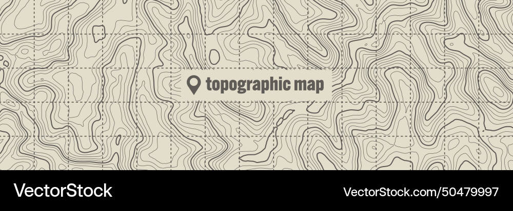 Topographic map with contour lines geographic vector image