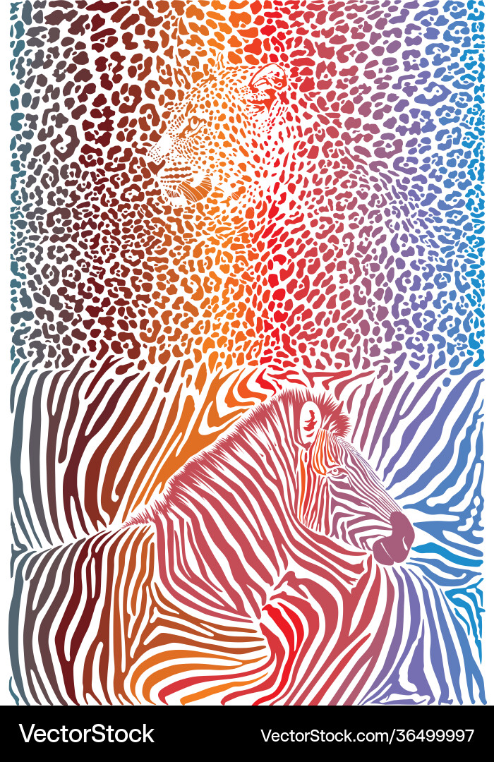 Zebra and Leopard Pattern vector image