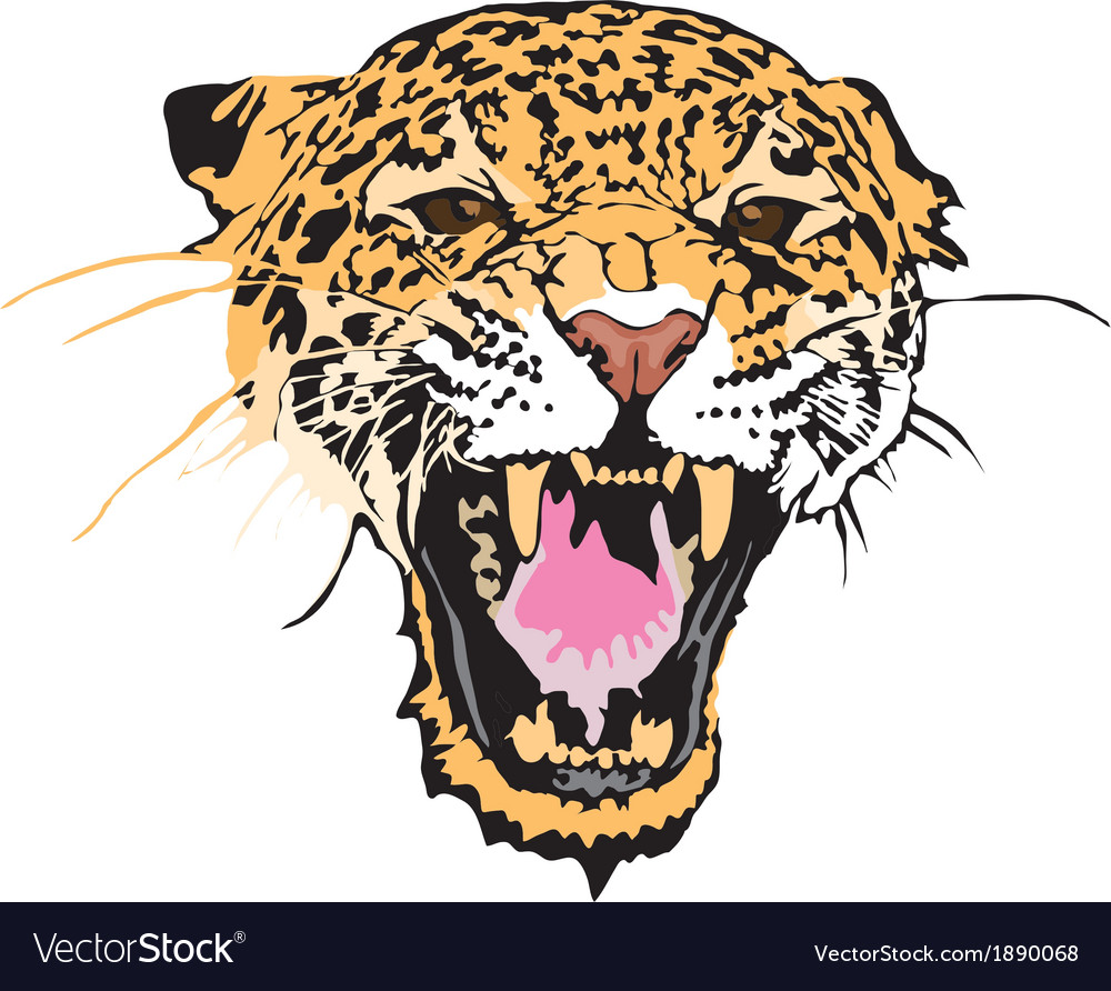 Download Jaguar Royalty Free Vector Image - VectorStock