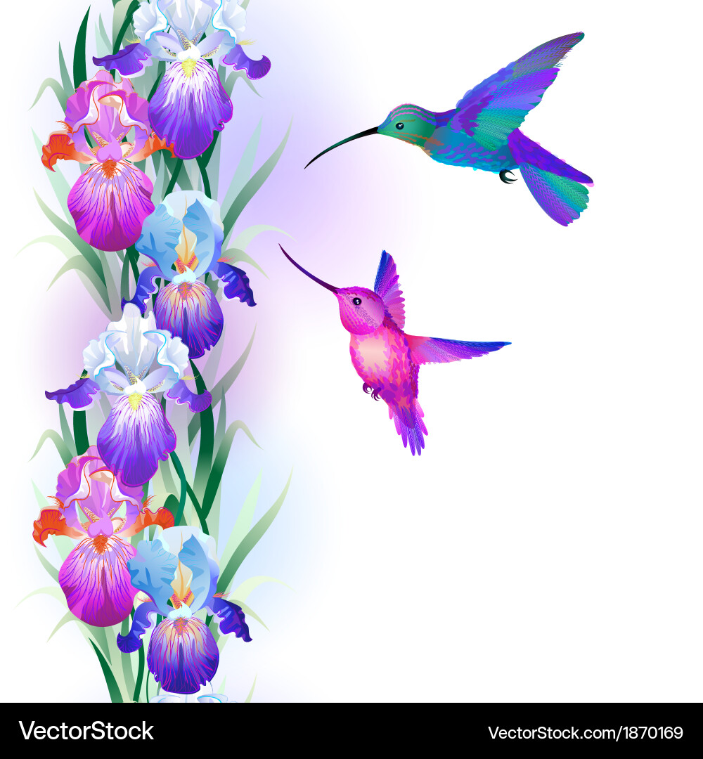 Free Free Flower Hummingbird Svg Free 127 SVG PNG EPS DXF File