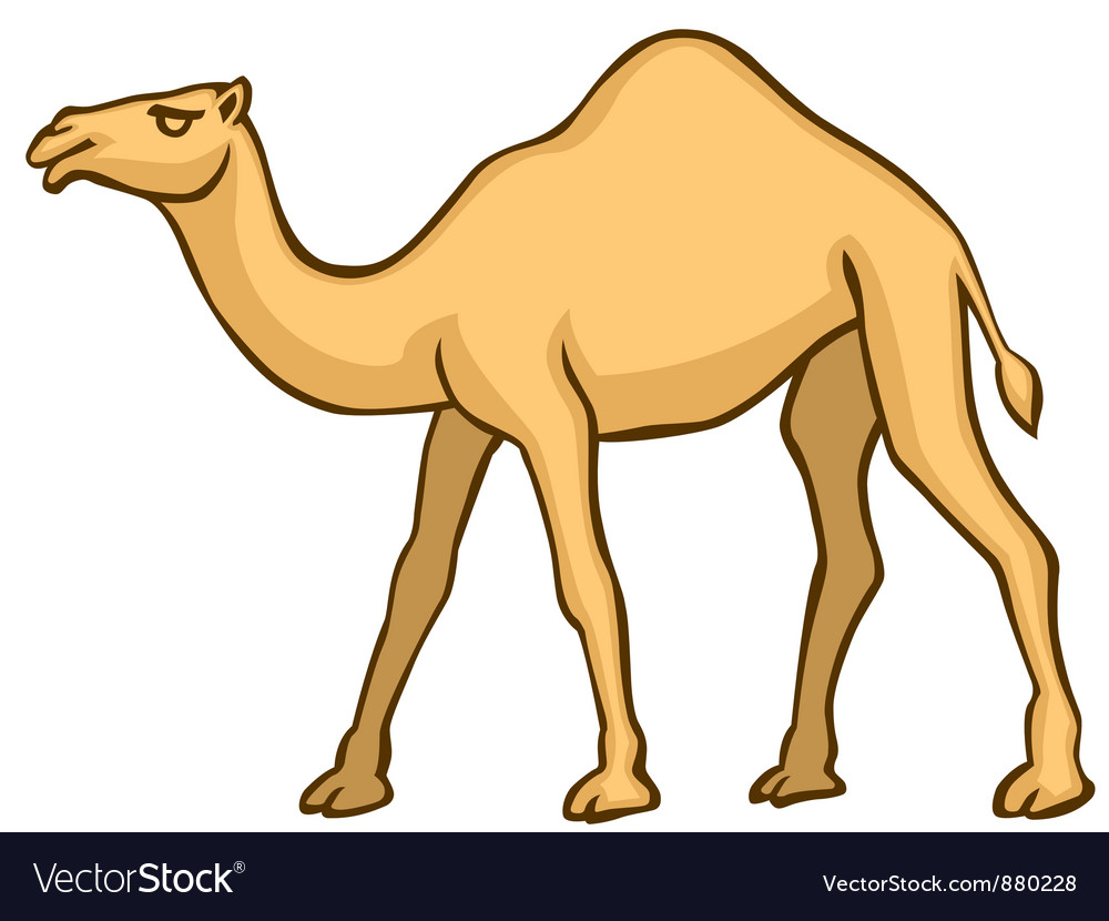 Camel Royalty Free Vector Image - VectorStock