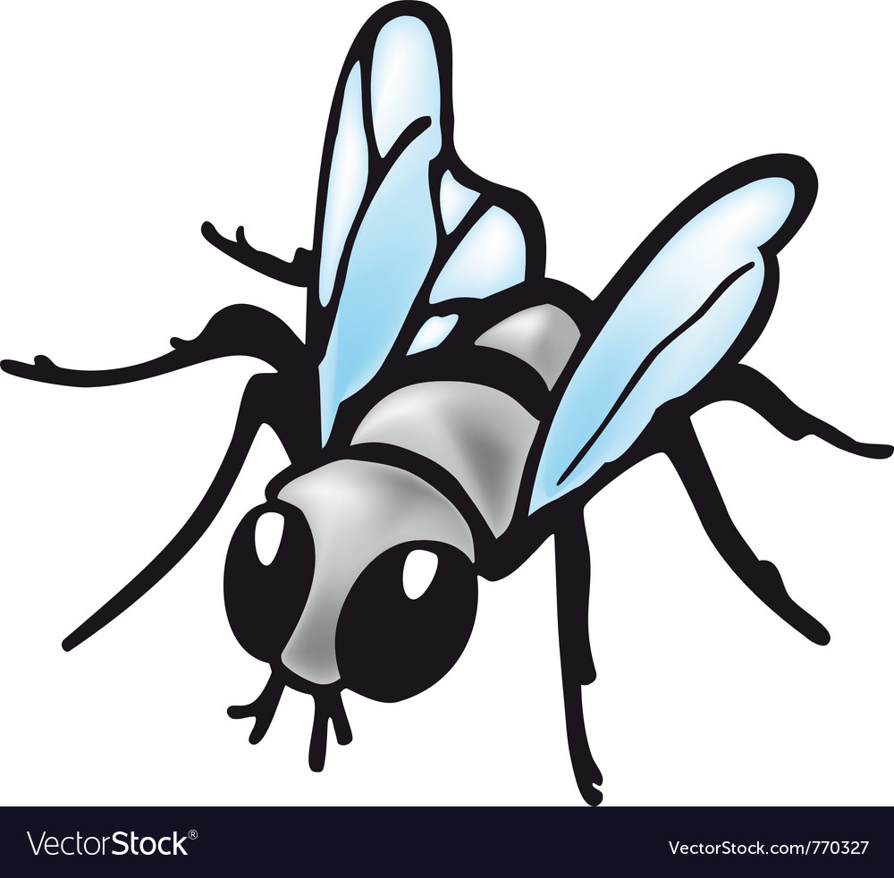 Fly Royalty Free Vector Image Vectorstock Fly Royalty Free Vector Image Vectorstock