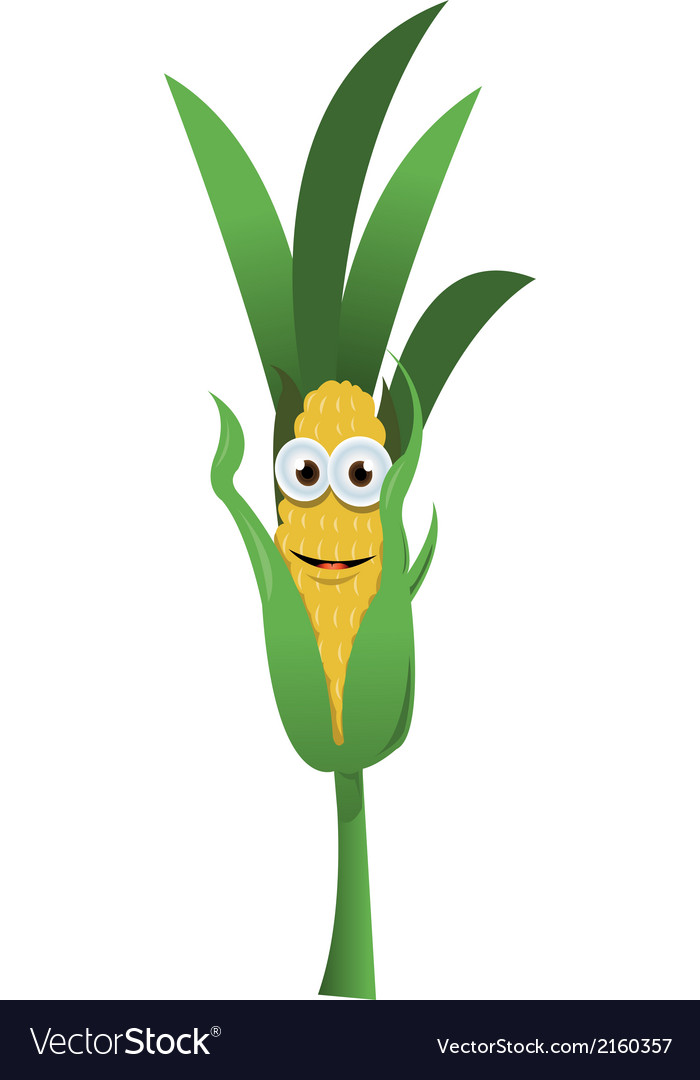 corn stalk