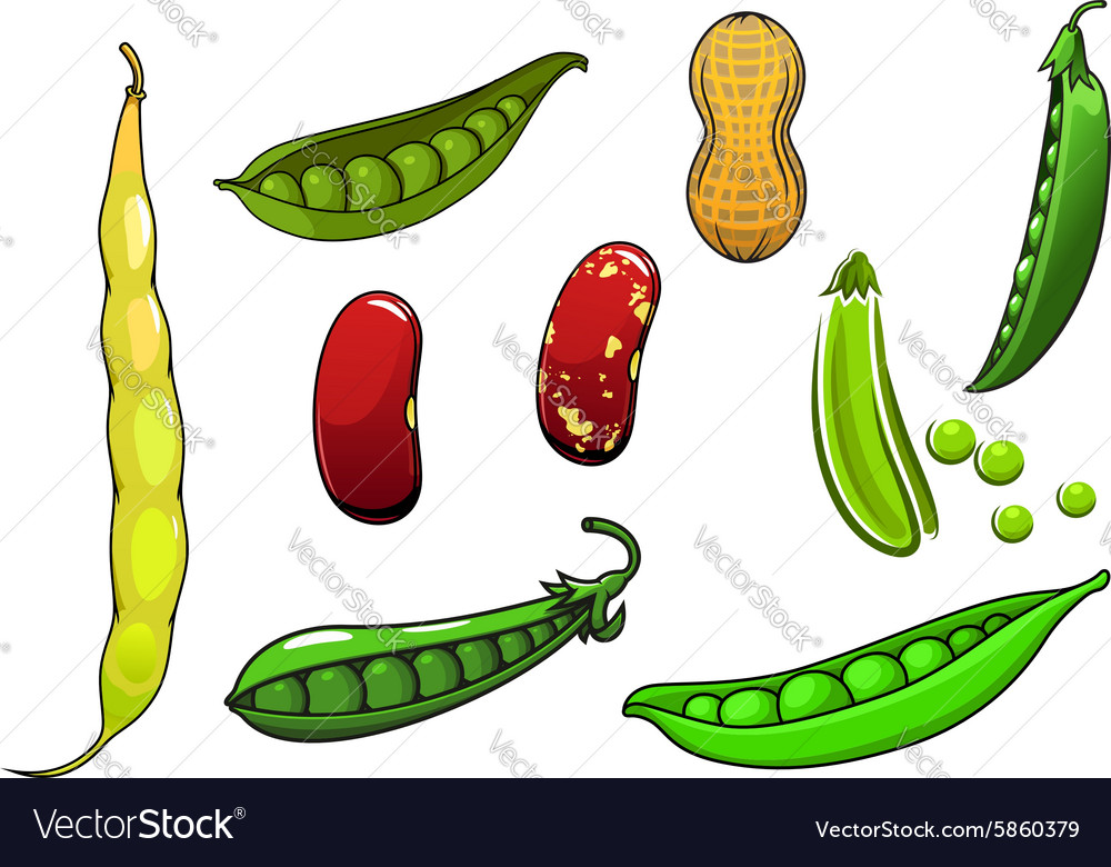 Cartoon fresh legumes and vegetables Royalty Free Vector