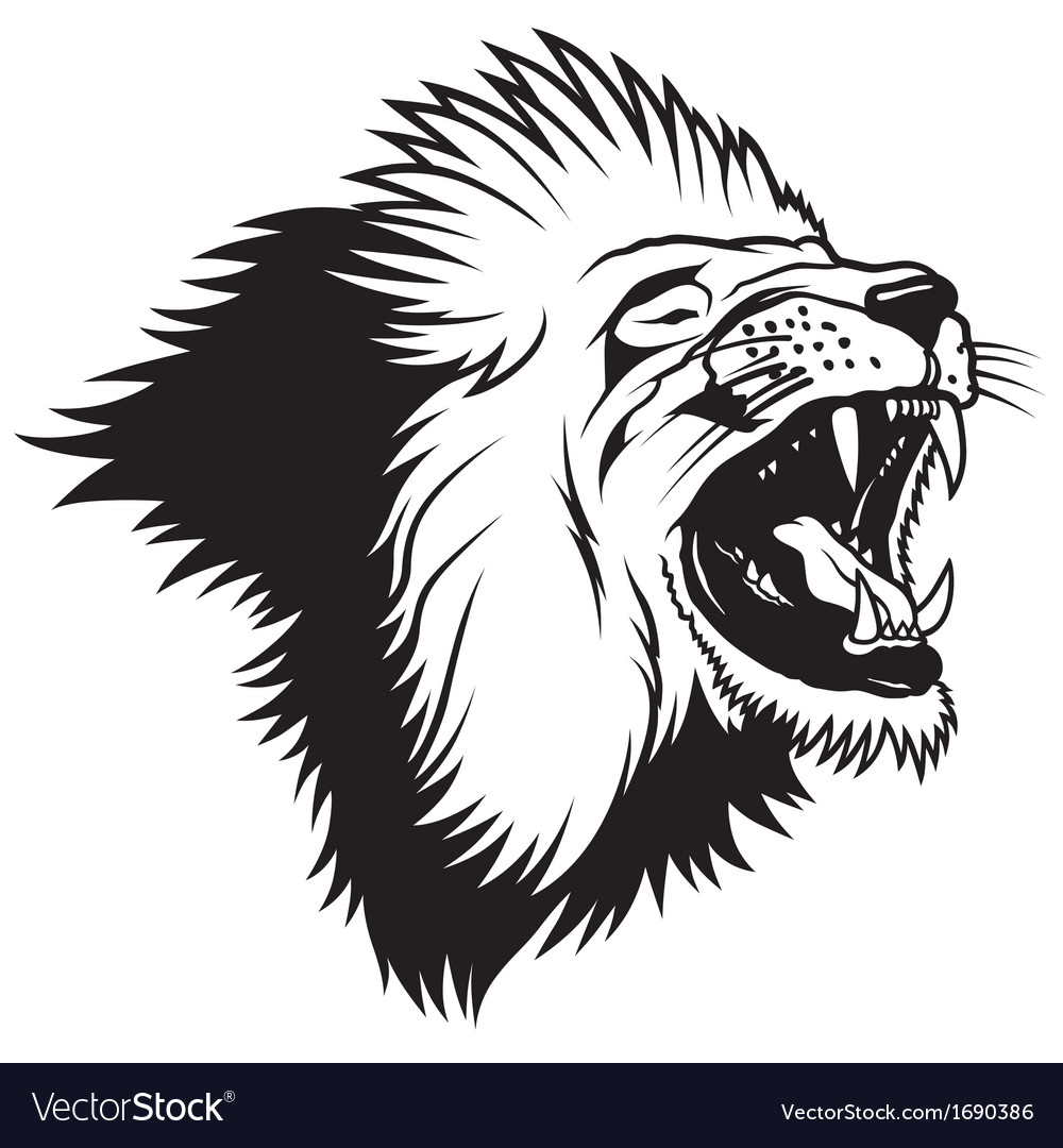Lion Head Royalty Free Vector Image - VectorStock