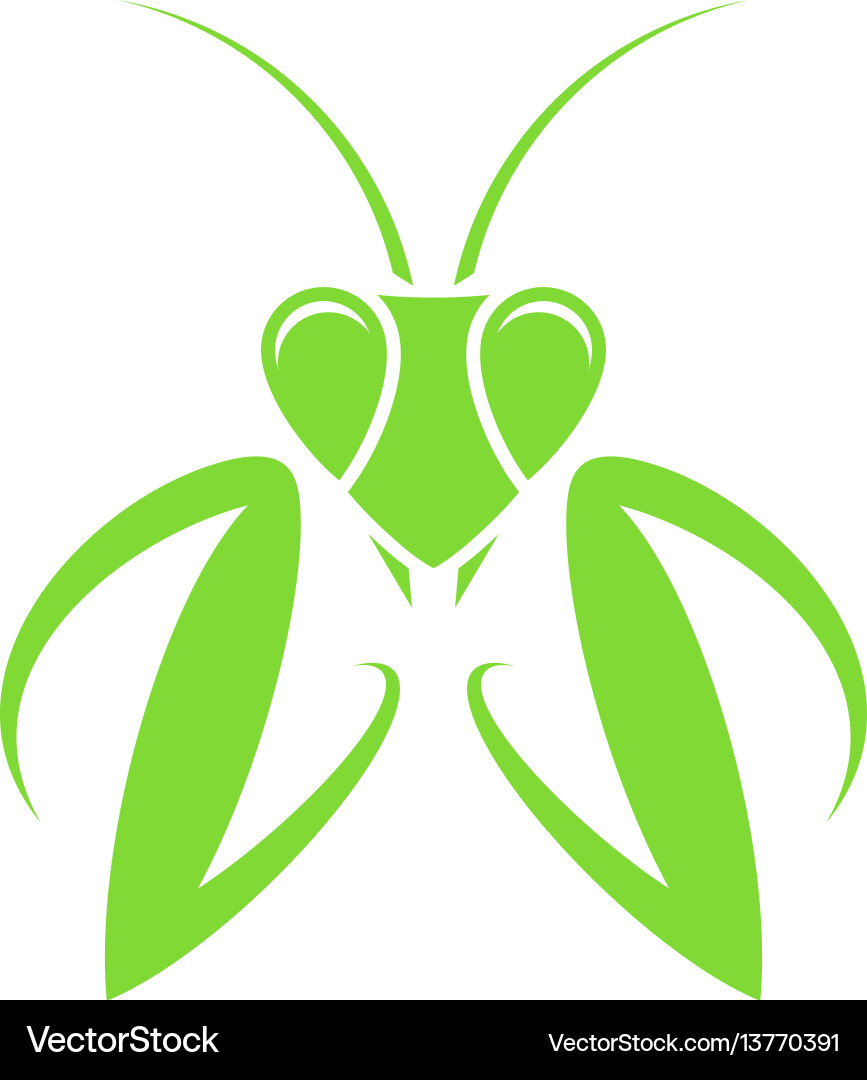 Praying mantis Royalty Free Vector Image - VectorStock
