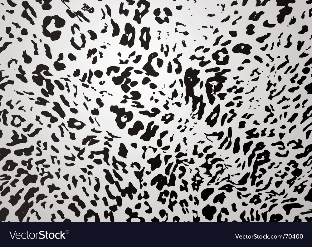 Download Snow leopard Royalty Free Vector Image - VectorStock